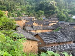 -杨家堂村