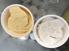 -洪馨椰子
