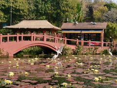 -广州莲花山旅游区