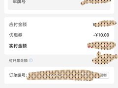 -中国石化金城加油站