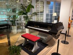 -柏斯音乐艺术中心·钢琴·吉他(上音店)