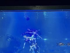 -福州罗源湾海洋世界旅游区