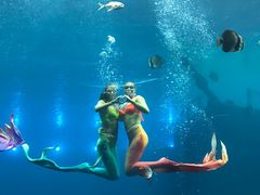-瑞德姆美人鱼海底演艺主题餐厅(亚龙湾店)