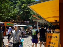 -将军关探险漂流