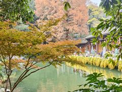 -杭州植物园
