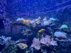 -海合安天津极地海洋公园