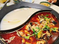 红汤梭边鱼锅-新辣道鱼火锅(上地华联店)