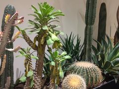 -J Create城市露营咖啡·简餐·宠物(上海动物园店)