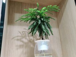 -丝念美发·专注烫染