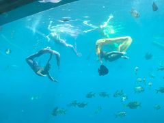 -瑞德姆美人鱼海底演艺主题餐厅(亚龙湾店)