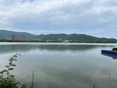 -长兴太湖图影湿地文化园