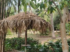 -中国科学院西双版纳热带植物园
