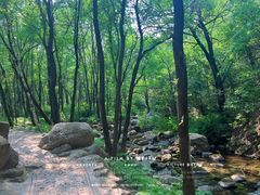-玉渡山自然风景区