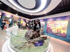 -国家自然博物馆