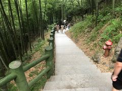 -藏龙百瀑风景区