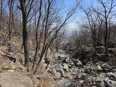 -阳台山自然风景区