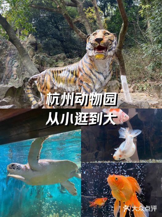 杭州动物园图片