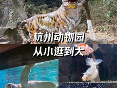 -杭州动物园