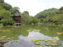 -云溪植物园