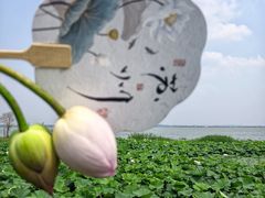 -七的湖·晚芳亭·阳澄湖农家菜·大闸蟹(莲花岛店)