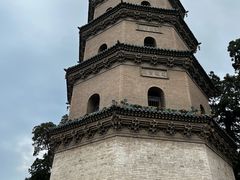 -向阳羊汤(千峰店)
