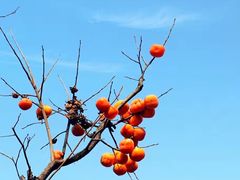-北京宽沟会议中心