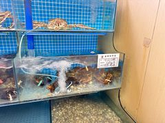 -前王院•巧克力海鲜市集餐厅(万平口店)