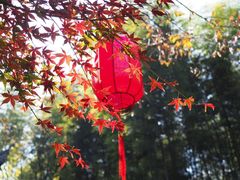 -天目湖涵田半山温泉