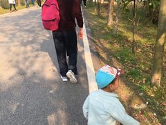 -木兰云雾山