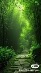 -安吉拉·纤纤玉指美甲美睫创意中心