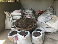-大象粑粑造纸公园