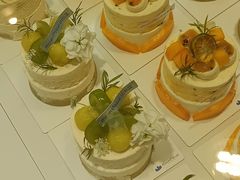 -山与蓝·轻糖鲜果蛋糕(勒泰店)