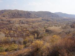 -御道口草原森林风景区