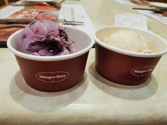 哈根达斯-芭菲盛宴·环球美食(袁家岗店)