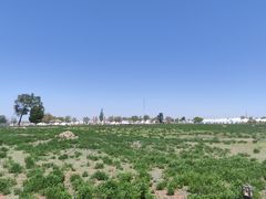 -苏泊罕大草原旅游景区