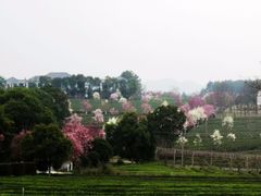 -凤凰沟景区