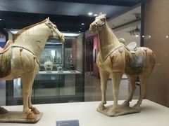 -西安大唐西市博物馆