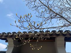 -无锡梅园公园