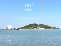 -野狸岛
