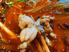 -鸿顺老铁锅美蛙鱼府(解放碑店)