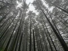 -芦芽山旅游度假区