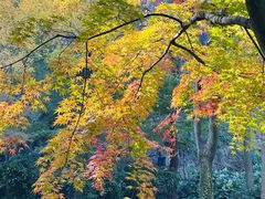 -狼山风景名胜区