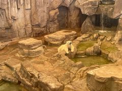 -西安曲江海洋极地公园