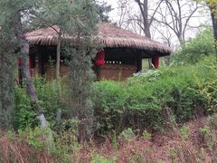 -热高乐园