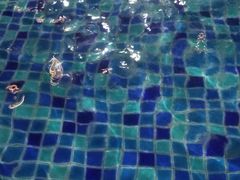 -泉城欧乐堡戏水湾艺术养生温泉