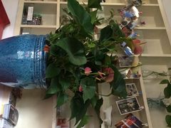 明堂青年旅舍-明堂青年旅舍