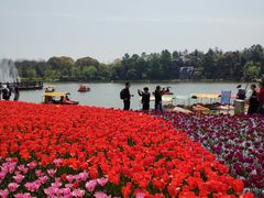 -上海鲜花港
