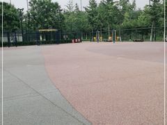 -东升文体公园