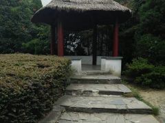 -定园