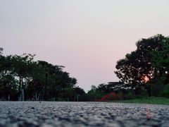 -东莞植物园
